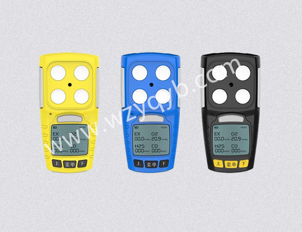 便(bian)攜式氣(qì)體檢測(cè)儀多組(zǔ)分