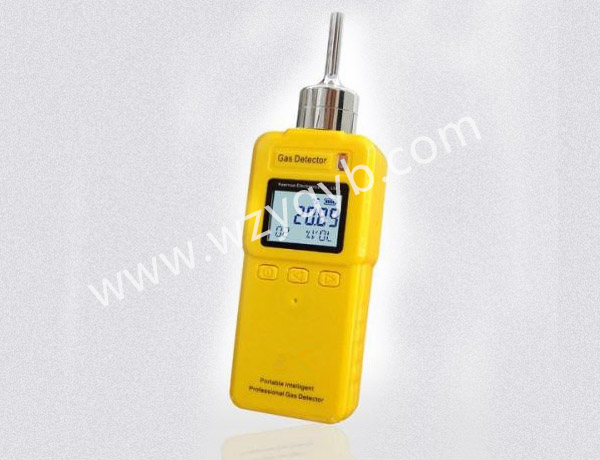 便(bian)攜式氣體檢測儀(yi)